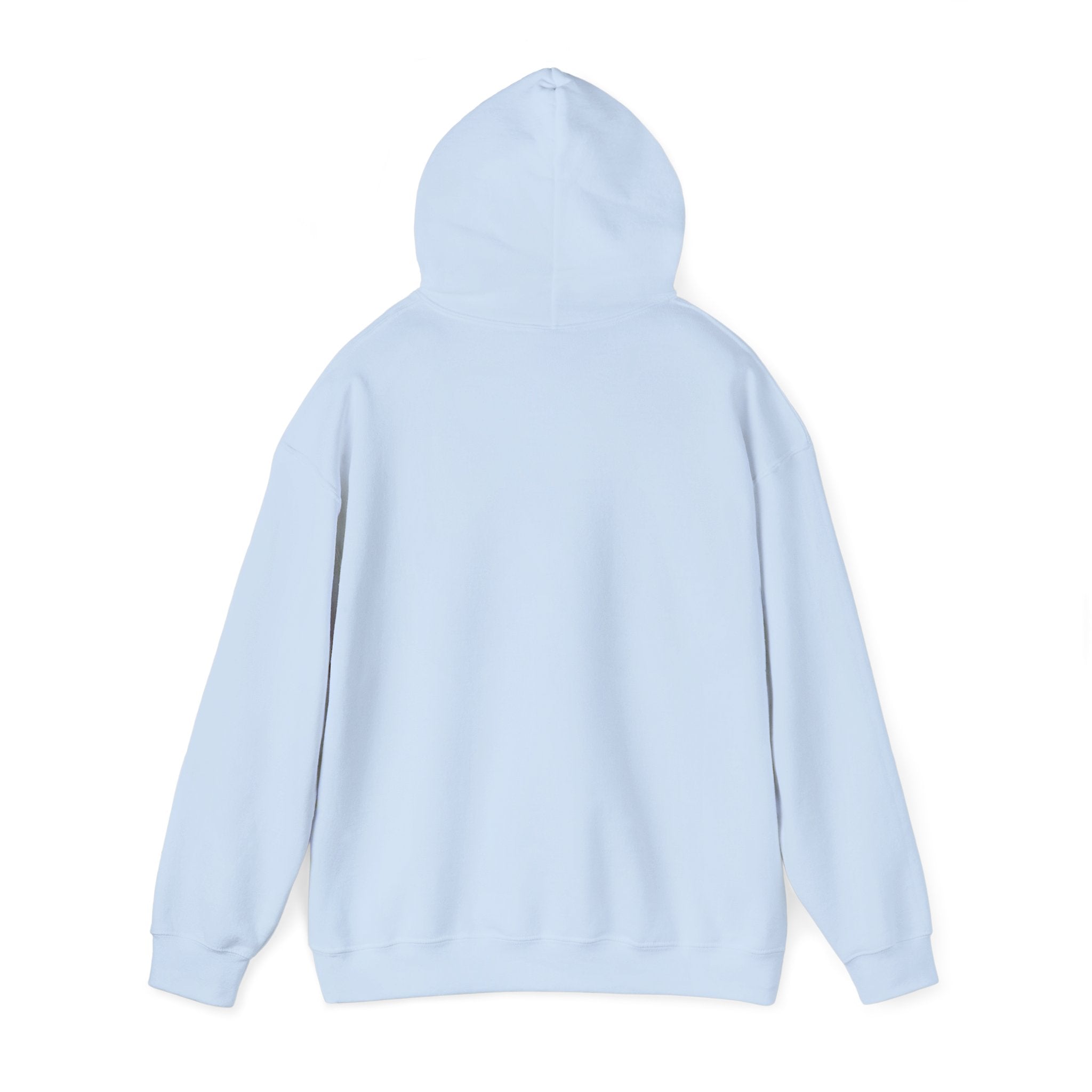 Hoodie - Cute Ghost Holding a Cat In My Spooky Era Sweatshirt